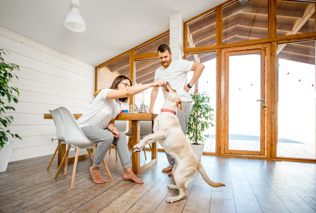 Why Sun City Vistoso Is Oro Valley’s Premier Active Adult Community: A Neighbor’s Guide to Life in This Vibrant Neighborhood